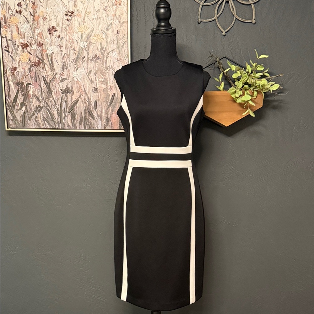 Calvin Klein Black and White Mini Dress